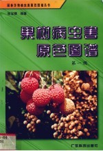 果树病虫害原色图谱  第1册