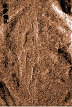 幼科銕镜  <em>卷之</em><em>1</em>-之2