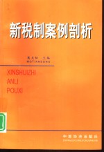 新税制案例剖析