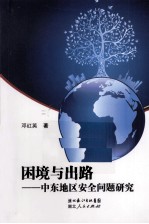 困境与出路  中东地区安全问题研究