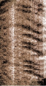 伤寒第<em>一书</em>  付馀  下