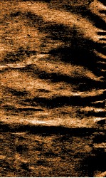 <em>针灸</em>大成  2卷