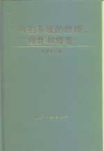 两相系统的燃烧、爆炸和爆轰