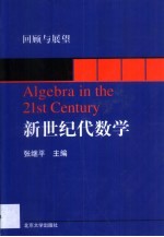 新世纪代数学  回顾与展望
