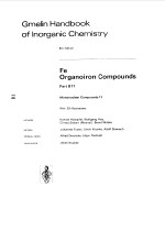 GMELIN <em>HANDBOOK</em> OF LNORGANIC CHEMISTRY  FE ORGANOIRON COMPOUNDS  PART B11