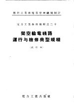 架空输电线路运行与检修典型规程  试行本