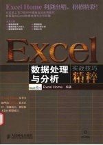 Excel<em>数据</em><em>处理</em><em>与</em><em>分析</em>实战技巧精粹