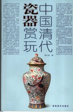 中国清代瓷器赏玩