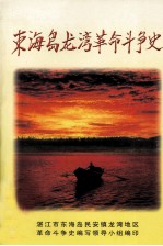 东海岛龙湾<em>革命</em>斗争史