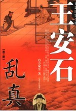 王安石  乱真  第3部