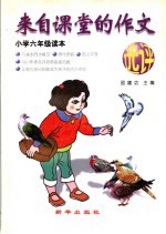 来自课堂的作文选评  小学六年级