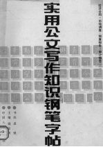 实用公文写作知识钢笔字帖  2  经<em>济</em>合同·市场调查·预算报告·审计报告
