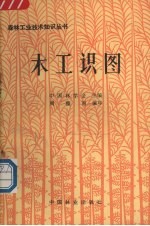 <em>木工</em>识图