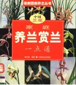 家庭养兰赏兰一点通  中国兰花