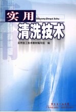 实用清洗<em>技术</em>