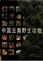 中国云南野生<em>动物</em>