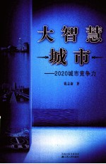 大智慧城市  2020城市竞争力