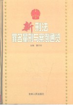 新刑法罪名量刑与案例通览  中