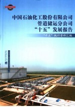 <em>中国</em>石油化工股份有限公司管道运分公司“十五”发展报告