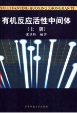 有机反应活性中间体  上  第2版