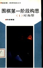 围棋第一阶段构思  1  对角型