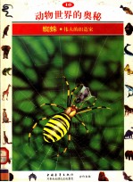 动物<em>世界</em>的<em>奥秘</em>  图集  10  蜘蛛  伟大的织造家