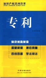 <em>专利</em>