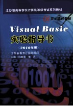 Visual Basic实验指导书  2010年版