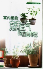 室内植物  充满生气的<em>绿</em>色环境