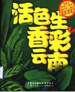 活色<em>生香</em>彩云南