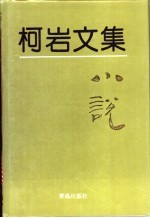 柯岩<em>文集</em>  <em>第</em><em>2</em><em>卷</em>  小说