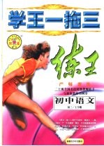 学王一拖三  练王·严师课练  初中语文  三年级  上学期