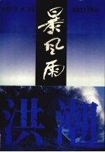 <em>暴风</em>雨  下  洪潮