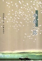 青春之路  我的年轻岁月记录