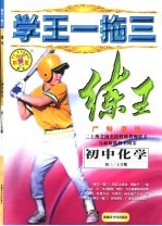 学王一拖三  练王·严师课练  初中化学  三年级  上学期
