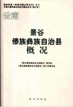景谷傣族彝族自治县概况  <em>修订</em>本