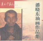 <em>潘</em>晓东油画作品集