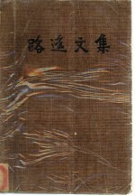 <em>路遥</em>文集  第4卷