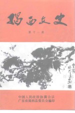 <em>揭西</em>文史  第11辑