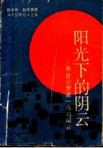 阳光下的阴云  来自公安第一线的报告