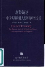 新经济论  中国实现跨越式发展的理性分析