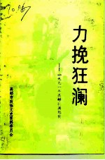 力挽狂澜  -1991年<em>高邮</em>抗洪纪实