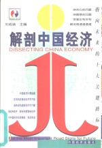 解剖中国经济  指向未来的十大关键路标