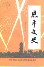 恩平文史  第28期