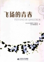 飞扬的青春