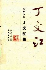 <em>丁文</em>江集