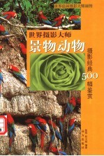 世界摄影大师景物动物摄影经典500幅鉴赏  下