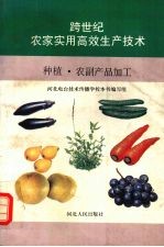 跨世纪农家实用高效生产<em>技术</em>  种植·农副产品加工