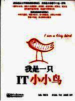 我是一只<em>IT</em>小小鸟