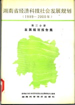 湖南省经济科技社会发展规划  1989-2000<em>年</em>  第3分册  发展规划报告集
